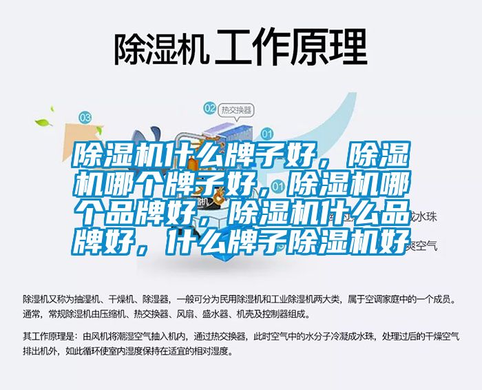 除濕機(jī)什么牌子好，除濕機(jī)哪個(gè)牌子好，除濕機(jī)哪個(gè)品牌好，除濕機(jī)什么品牌好，什么牌子除濕機(jī)好
