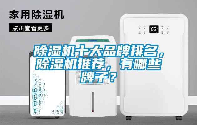 除濕機(jī)十大品牌排名，除濕機(jī)推薦，有哪些牌子？