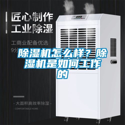 除濕機(jī)怎么樣？除濕機(jī)是如何工作的