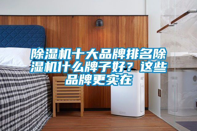除濕機(jī)十大品牌排名除濕機(jī)什么牌子好？這些品牌更實(shí)在