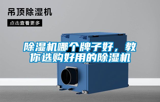 除濕機(jī)哪個(gè)牌子好，教你選購好用的除濕機(jī)