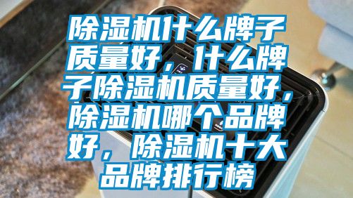 除濕機(jī)什么牌子質(zhì)量好，什么牌子除濕機(jī)質(zhì)量好，除濕機(jī)哪個(gè)品牌好，除濕機(jī)十大品牌排行榜