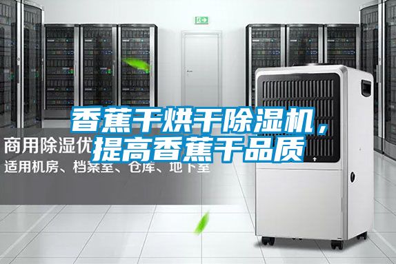 香蕉干烘干除濕機(jī)，提高香蕉干品質(zhì)