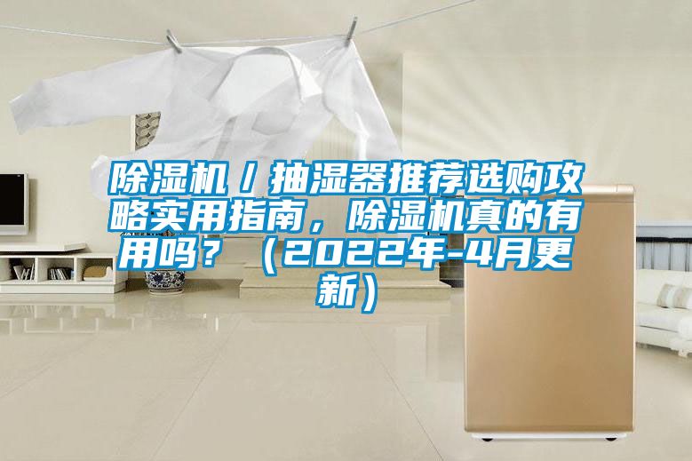 除濕機(jī)／抽濕器推薦選購(gòu)攻略實(shí)用指南，除濕機(jī)真的有用嗎？（2022年-4月更新）