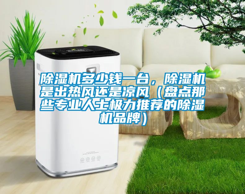 除濕機(jī)多少錢一臺，除濕機(jī)是出熱風(fēng)還是涼風(fēng)（盤點那些專業(yè)人士極力推薦的除濕機(jī)品牌）