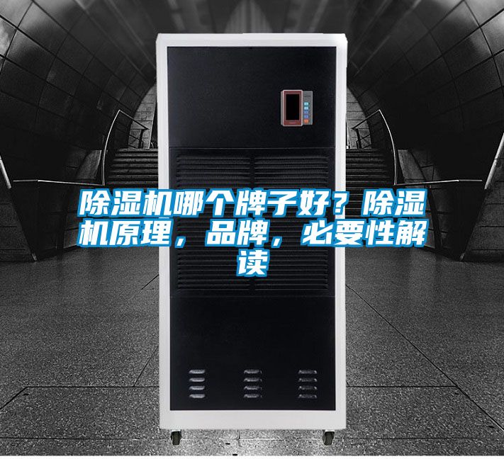 除濕機(jī)哪個(gè)牌子好？除濕機(jī)原理，品牌，必要性解讀