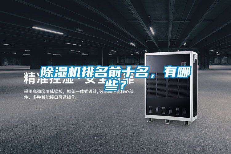 除濕機(jī)排名前十名，有哪些？