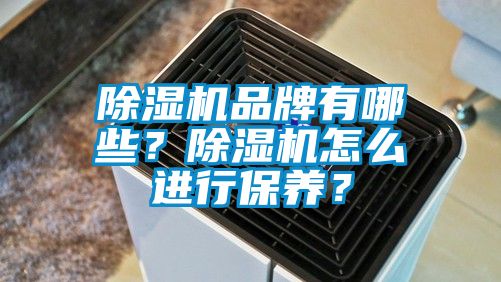 除濕機(jī)品牌有哪些？除濕機(jī)怎么進(jìn)行保養(yǎng)？
