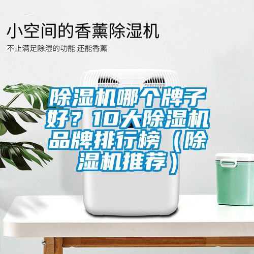 除濕機(jī)哪個(gè)牌子好？10大除濕機(jī)品牌排行榜（除濕機(jī)推薦）
