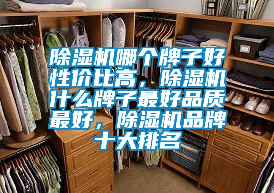 除濕機(jī)哪個牌子好性價比高，除濕機(jī)什么牌子最好品質(zhì)最好，除濕機(jī)品牌十大排名