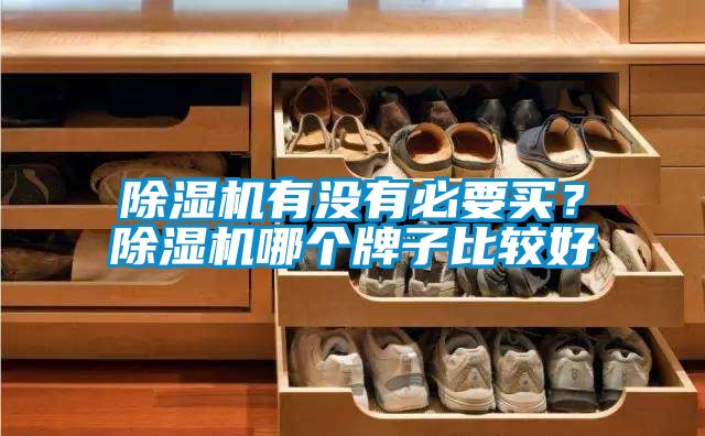 除濕機(jī)有沒有必要買？除濕機(jī)哪個牌子比較好