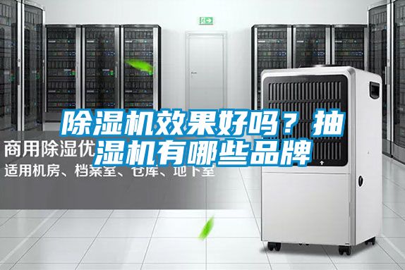 除濕機(jī)效果好嗎？抽濕機(jī)有哪些品牌