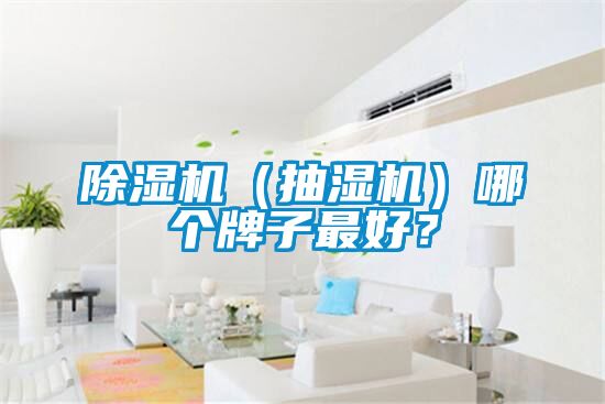 除濕機（抽濕機）哪個牌子最好？