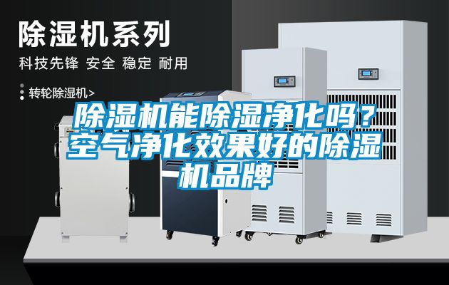 除濕機(jī)能除濕凈化嗎？空氣凈化效果好的除濕機(jī)品牌