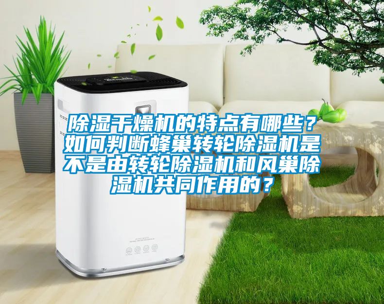 除濕干燥機(jī)的特點(diǎn)有哪些？如何判斷蜂巢轉(zhuǎn)輪除濕機(jī)是不是由轉(zhuǎn)輪除濕機(jī)和風(fēng)巢除濕機(jī)共同作用的？