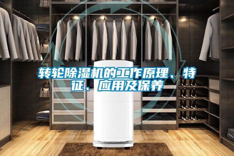 轉(zhuǎn)輪除濕機的工作原理、特征、應用及保養(yǎng)
