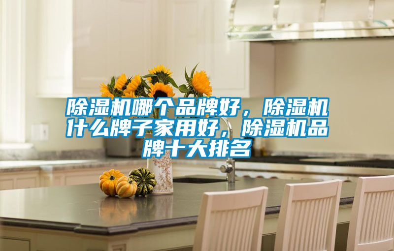 除濕機(jī)哪個(gè)品牌好，除濕機(jī)什么牌子家用好，除濕機(jī)品牌十大排名