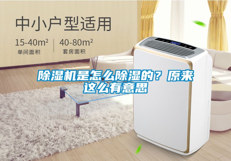 除濕機是怎么除濕的？原來這么有意思