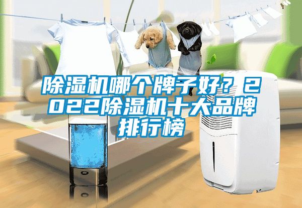 除濕機哪個牌子好？2022除濕機十大品牌排行榜
