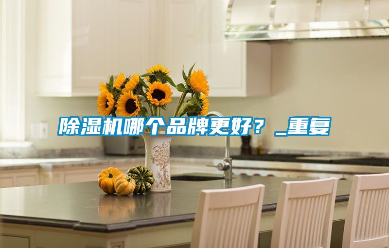 除濕機(jī)哪個品牌更好？_重復(fù)