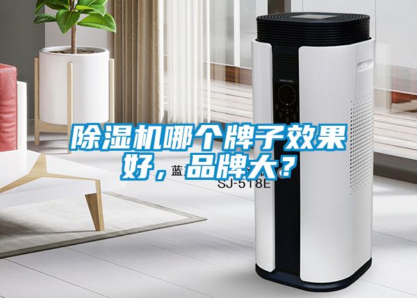 除濕機(jī)哪個(gè)牌子效果好，品牌大？