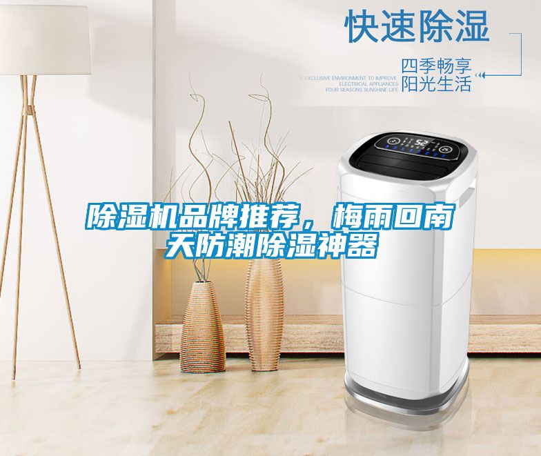 除濕機品牌推薦，梅雨回南天防潮除濕神器