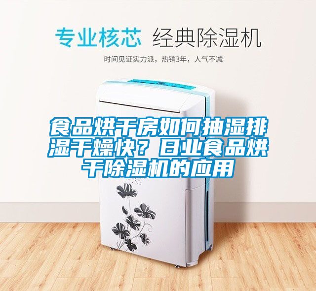 食品烘干房如何抽濕排濕干燥快？日業(yè)食品烘干除濕機(jī)的應(yīng)用