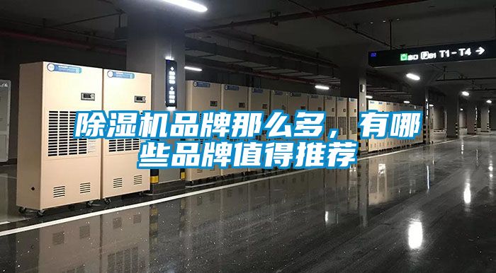 除濕機(jī)品牌那么多，有哪些品牌值得推薦