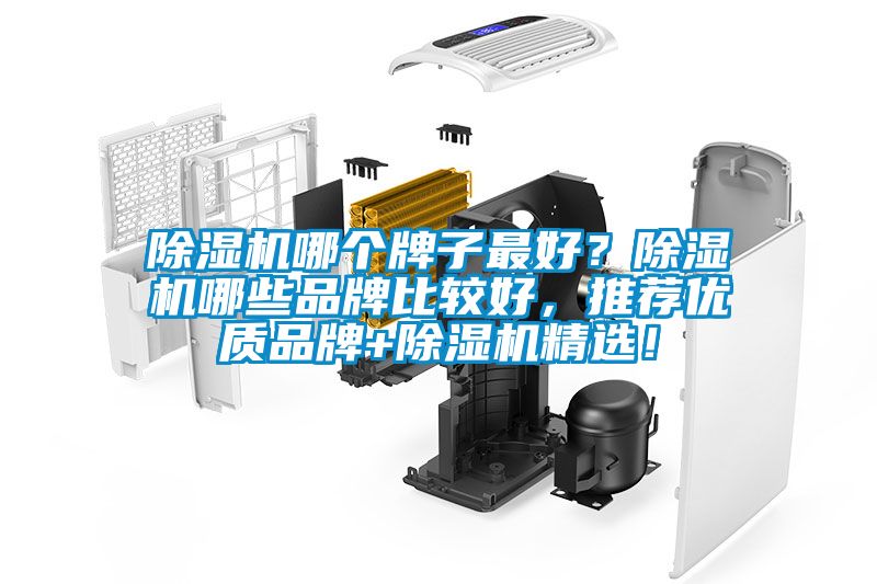 除濕機(jī)哪個(gè)牌子最好？除濕機(jī)哪些品牌比較好，推薦優(yōu)質(zhì)品牌+除濕機(jī)精選！
