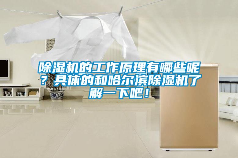 除濕機(jī)的工作原理有哪些呢？具體的和哈爾濱除濕機(jī)了解一下吧！