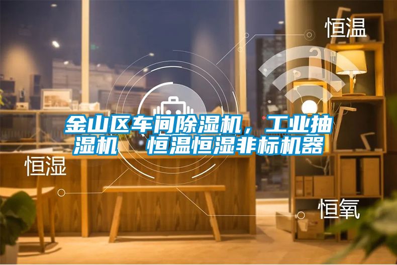 金山區(qū)車間除濕機(jī)，工業(yè)抽濕機(jī)  恒溫恒濕非標(biāo)機(jī)器