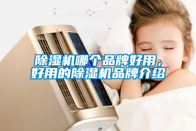 除濕機(jī)哪個(gè)品牌好用，好用的除濕機(jī)品牌介紹