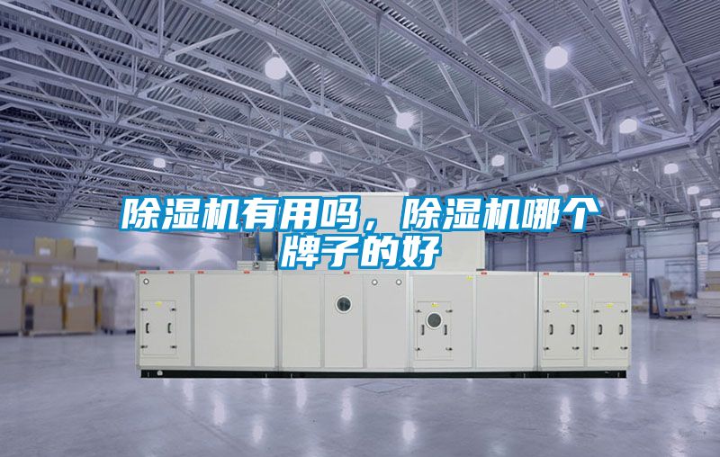 除濕機(jī)有用嗎，除濕機(jī)哪個牌子的好