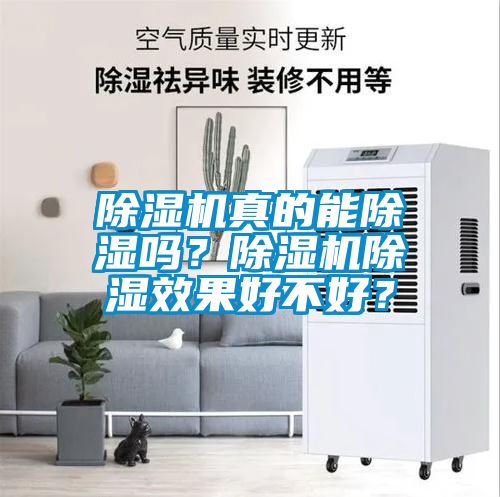 除濕機真的能除濕嗎？除濕機除濕效果好不好？