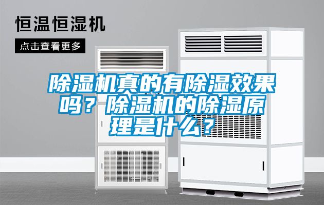 除濕機(jī)真的有除濕效果嗎？除濕機(jī)的除濕原理是什么？