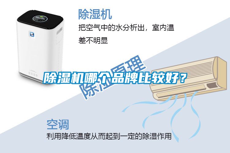 除濕機(jī)哪個品牌比較好？