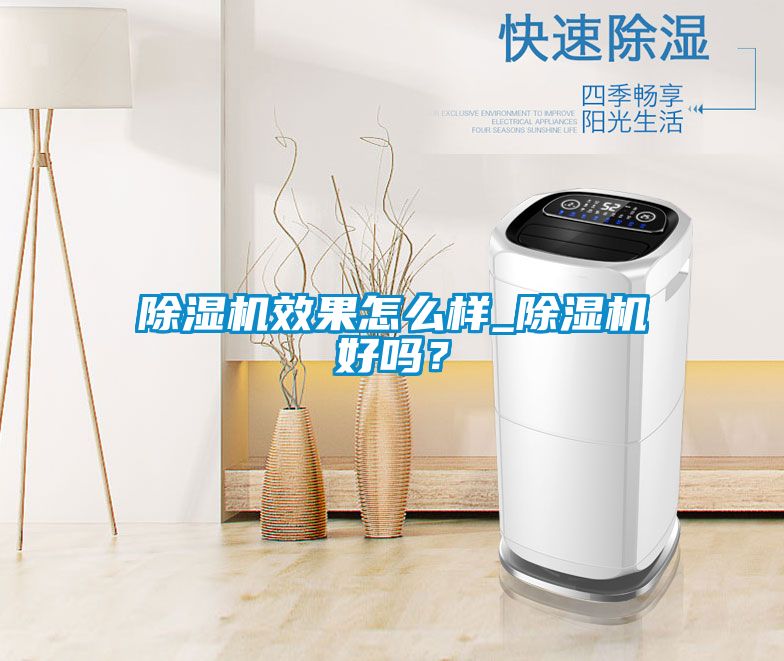 除濕機效果怎么樣_除濕機好嗎？