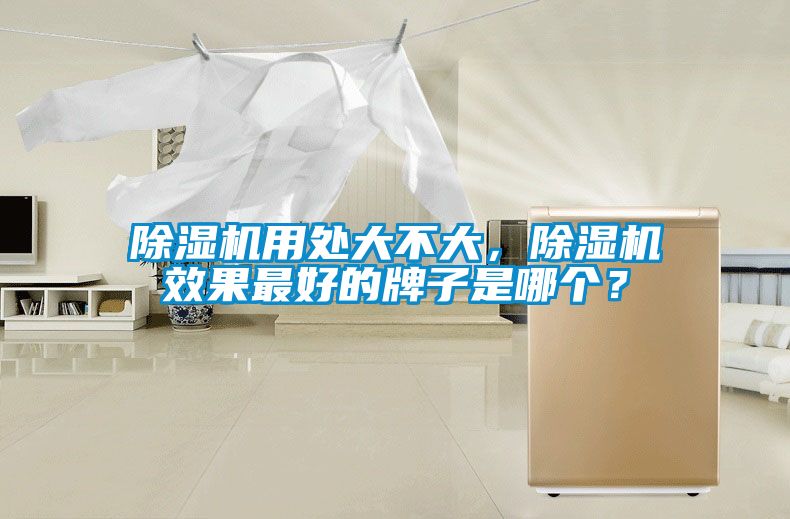 除濕機用處大不大，除濕機效果最好的牌子是哪個？