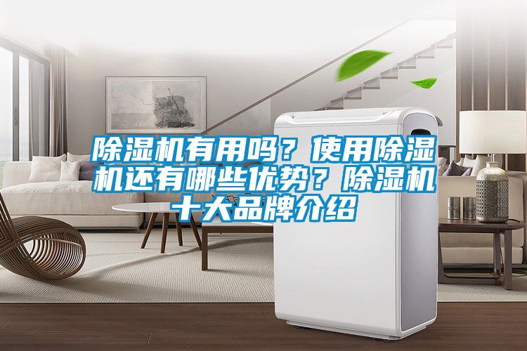 除濕機有用嗎？使用除濕機還有哪些優(yōu)勢？除濕機十大品牌介紹