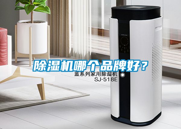 除濕機哪個品牌好？