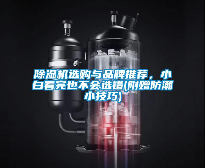 除濕機選購與品牌推薦，小白看完也不會選錯(附贈防潮小技巧)