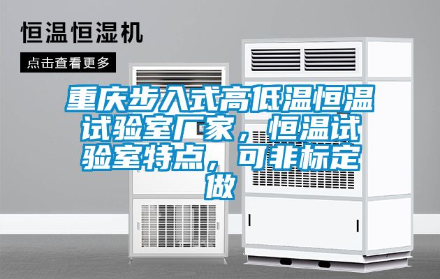重慶步入式高低溫恒溫試驗室廠家，恒溫試驗室特點(diǎn)，可非標(biāo)定做