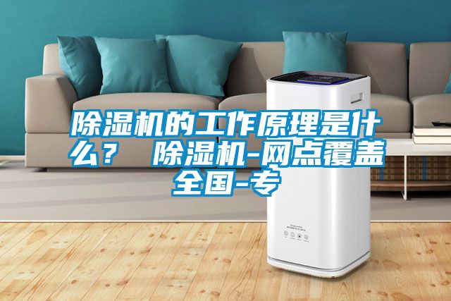 除濕機(jī)的工作原理是什么？ 除濕機(jī)-網(wǎng)點(diǎn)覆蓋全國(guó)-專