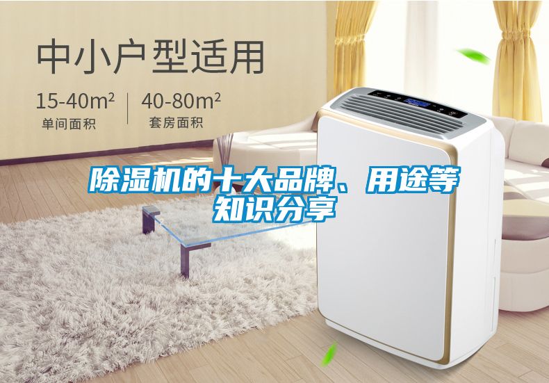 除濕機的十大品牌、用途等知識分享