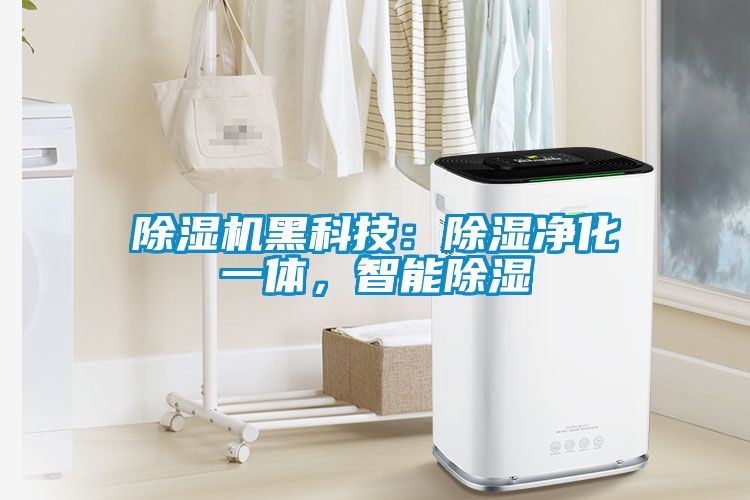 除濕機(jī)黑科技：除濕凈化一體，智能除濕