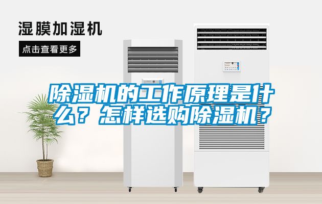 除濕機(jī)的工作原理是什么？怎樣選購除濕機(jī)？