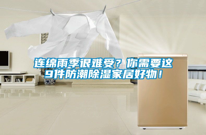 連綿雨季很難受？你需要這9件防潮除濕家居好物！