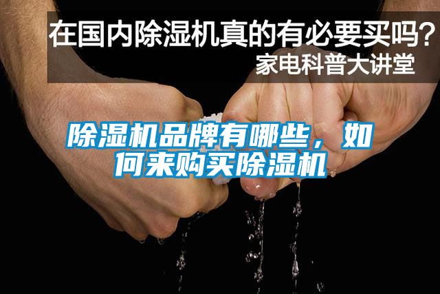 除濕機(jī)品牌有哪些，如何來(lái)購(gòu)買除濕機(jī)