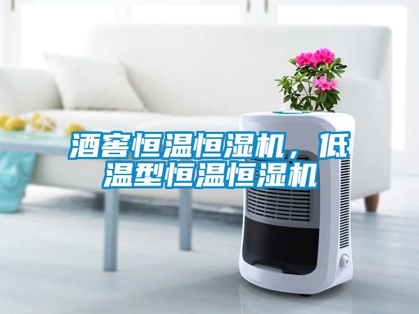 酒窖恒溫恒濕機，低溫型恒溫恒濕機