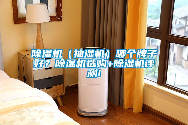 除濕機(jī)（抽濕機(jī)）哪個(gè)牌子好？除濕機(jī)選購+除濕機(jī)評測!